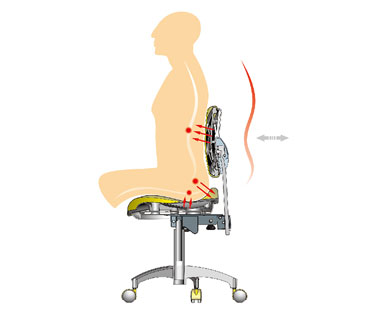 Characteristic Of D2 Doctor Stool: Ergonomically Designed